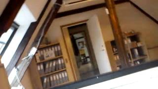 Anders Uldahl - Help Im A Fish official video