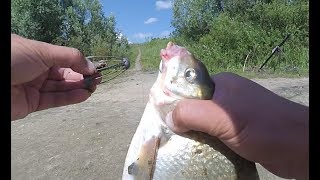 Рыбалка на оке под серпуховым донку