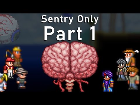 Calamity with Exclusively Sentries Part 1: The Passive and The Creative