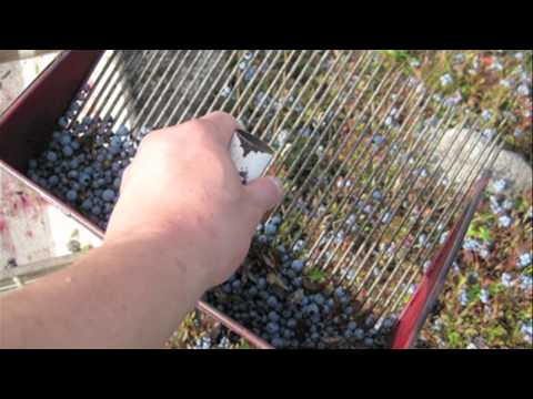 Youtube Video Still for Quality Through Innovation