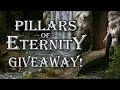 Pillars of Eternity Game Giveaway! [Giveaway ...