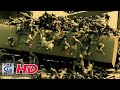 CGI VFX Breakdowns: "World War Z, Jerusalem ...