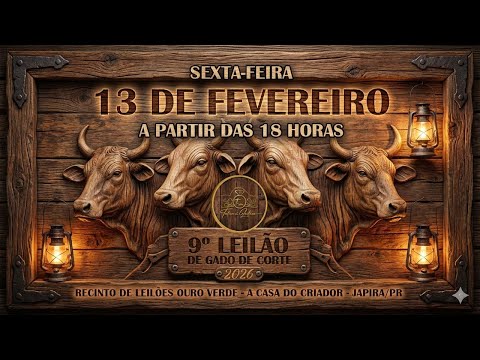 9° Leilão de Gado de Corte - 2026 | Talismã Leilões |Sexta-Feira - 13/02 - 18h | Japira - PR
