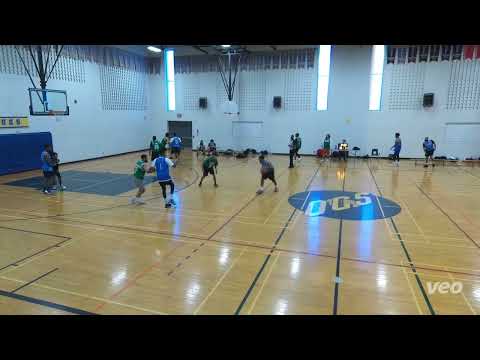 Toxic Kings vs Backyardigans - sunday tier - tcbl 2022 fall