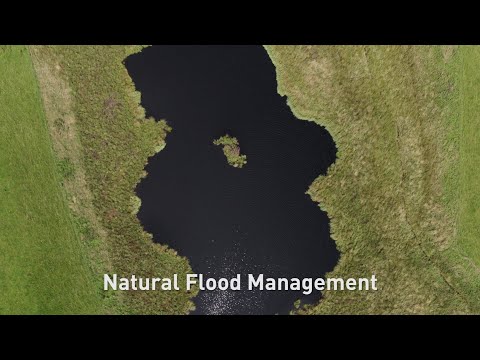 Voiceovers YouTube video thumbnail - Eddleston Water Project - Building with Nature (full version)