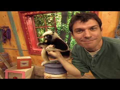 🐘 Zoboomafoo with the Kratt Brothers! HD | Full Episodes Compilation 13 🐘