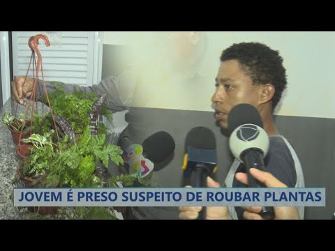 JOVEM É PRESO SUSPEITO DE ROUBAR PLANTAS