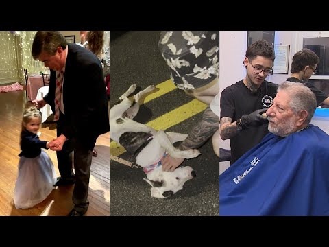 Experience the Most Heartwarming Moments of 2024