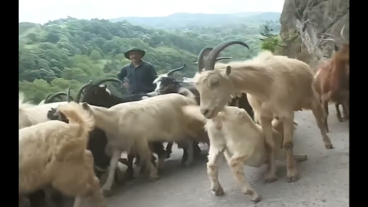 feeding unterwegs