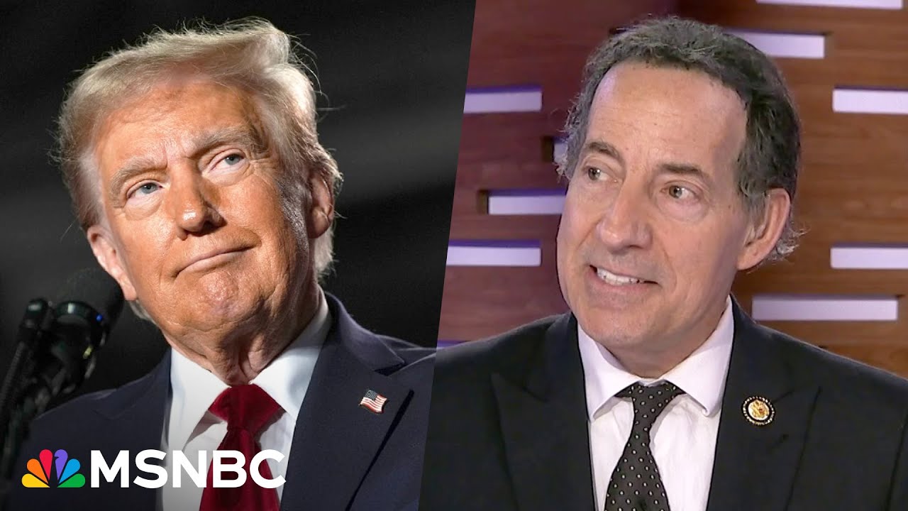 ‘Deliberate ignorance’: Raskin on Trump’s comments about upholding the Constitution, due process