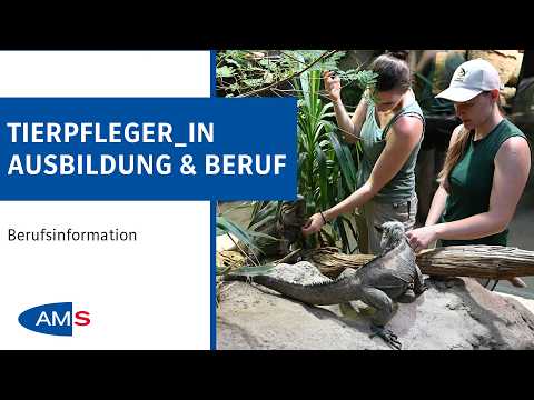 Tierpfleger Lehre: Ausbildung, Aufgaben & Voraussetzungen für den Beruf