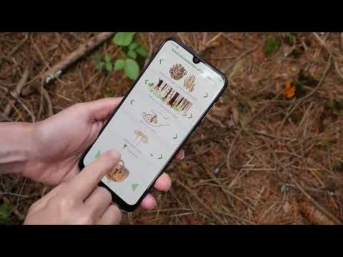 Mushrooms app Video