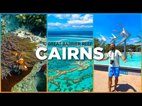 CAIRNS City & Great Barrier Reef 🇦🇺 – Snorkeling, Green Island & Wildlife Adventure 🐠🦈