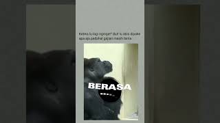 Download lagu Walau gaji cuma lewat saja  #gaji #story #storywa mp3