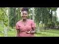 Four Days Late Karen Peck New River Cover By Reenay Sese