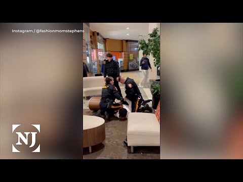 Video of police response to fight at Bridgewater mall sparks outrage | Video | NJ Spotlight News