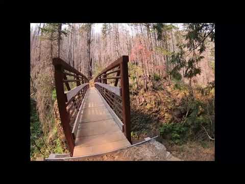 Eagle Creek:  Tunnel and Twister Falls