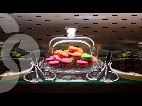 SAINT STAR KEMER - FLAVOURS OF SAINT STAR