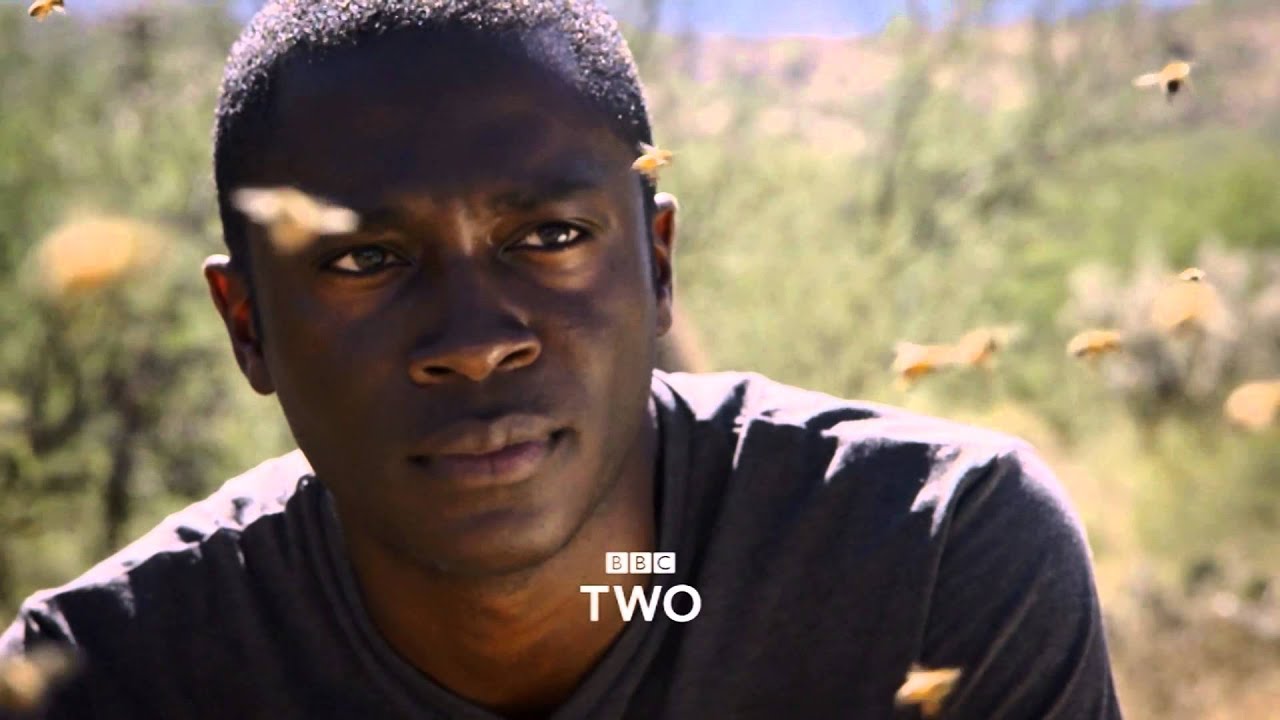 Super Senses: The Secret Power of Animals: Trailer - BBC Two