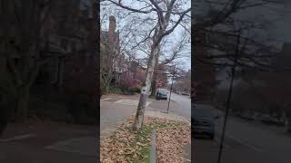 BROOKLINE MANSIONS / APARTMENTS