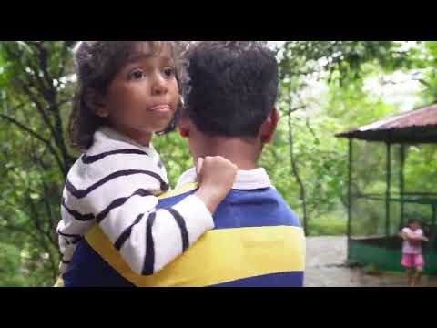 Sheeja Jungle Visits