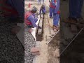 curbstone installation#shorts #shortvideo #satisfying