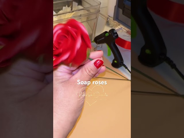 Vídeo relacionado con Toyvian Ramo de 7 Rosas de Jabón Artificial Rojo con Caja Negra Flor Aromática para San Valentín Obsequio Romántico para Mujer Decoración Duradera Marchitar Adecuado para Hogar y