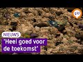 Gelderland heeft weer een luierrecycling. Bezoekers konden vandaag een kijkje nemen in Weurt