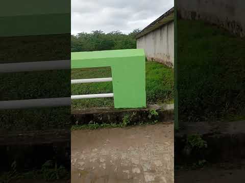 🌳 Aratuípe, Bahia ☀️🌴❤️ dia 15/Julho/2026