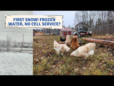 First Snowfall of the year | No cell service, frozen water, and chilly chickens!