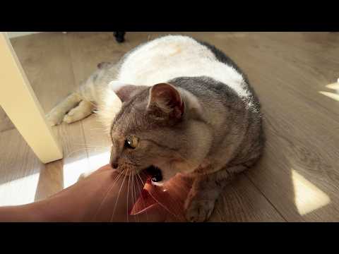 YouTube 썸네일
