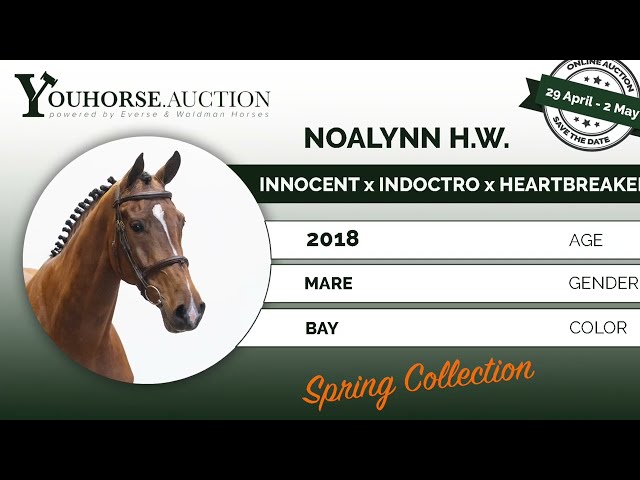 Noalynn @ show indoor