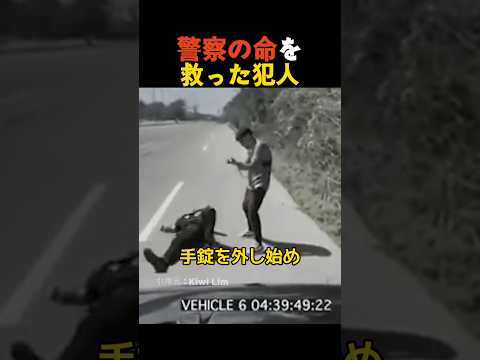 犯罪者の罠: オーストラリア警察は児童ポルノフォーラムの運営を継続