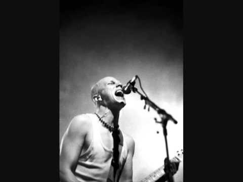 Leijonamieli & Toni wirtanen- Asvaltti