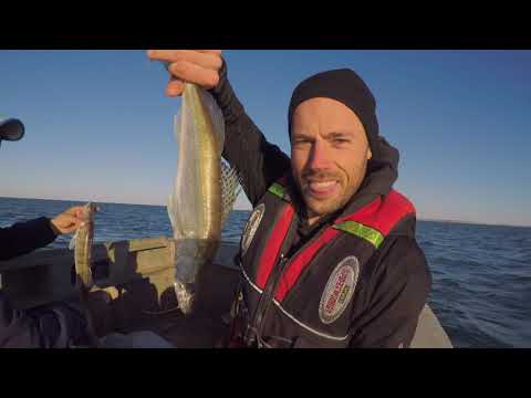 BBC Travel Show - Kazakhstan special (week 40)