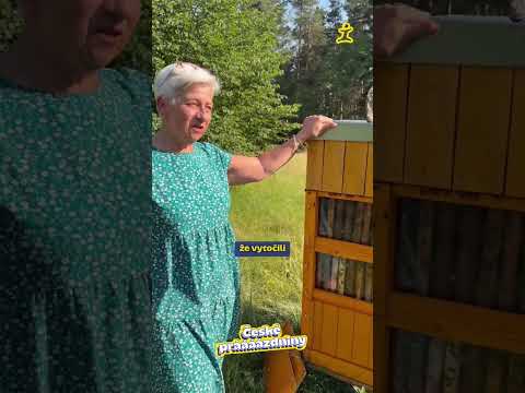 Návštěva u včelařky, kde vzniká Rožmberský med 🍯🐝