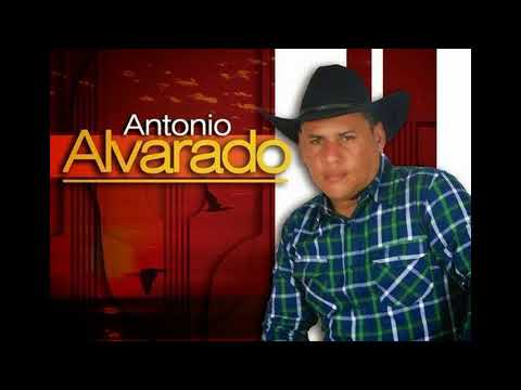 NO TE CREAS TAN IMPORTANTE- ANTONIO ALVARADO