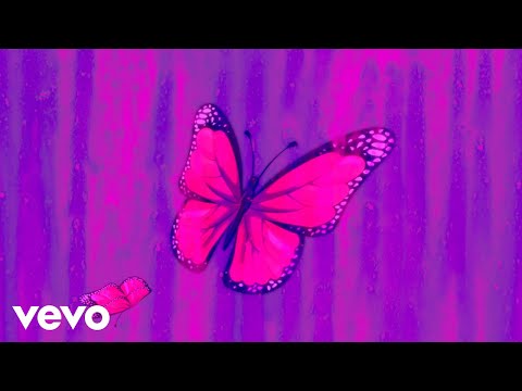 Flip Capella, Ron Starz - Heartbreaks & Butterflies (Official Lyric Video)