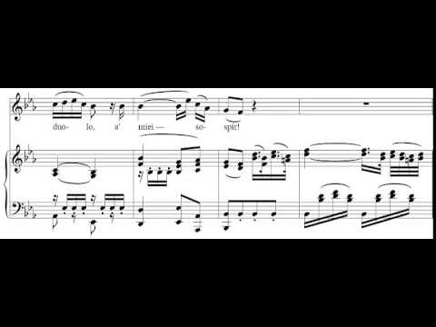 Porgi Amor (Le Nozze di Figaro - Mozart) Score Animation
