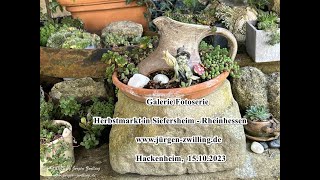 Galerie Fotoserie Herbstmarkt in Siefersheim Rheinhessen