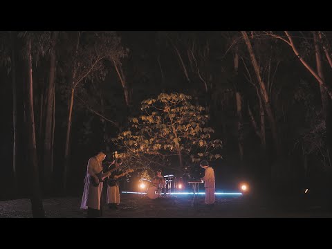 Prune Deer《75%》Live Session MV