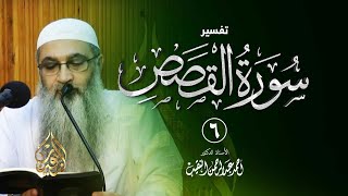 صورة 6 |  تفسير سورة القصص | الشيخ أ.د أحمد النقيب