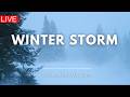 🔴 Snow Storm in Forest | 24/7 | Winter Storm & Howling Wind Sounds For Sleeping 🌨