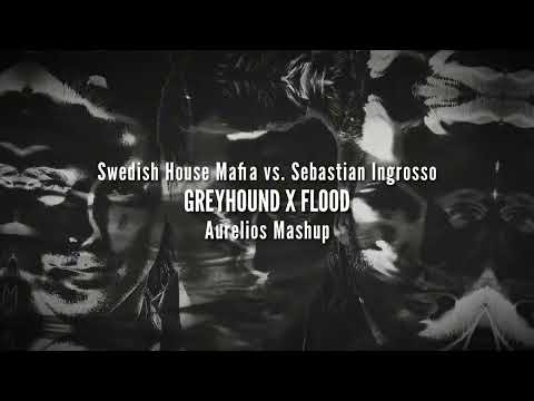 Greyhound X Flood (Aurelios Mashup)