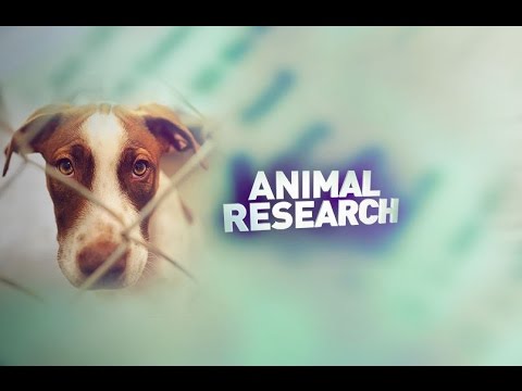 FULL MEASURE: April 2, 2017 - Animal Research