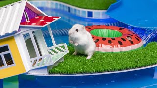 🐹 Hamster Escapes the Rainbow POP IT Maze