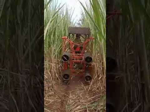 Mild steel farm cultivator sugarcane detrasher, for agricult...