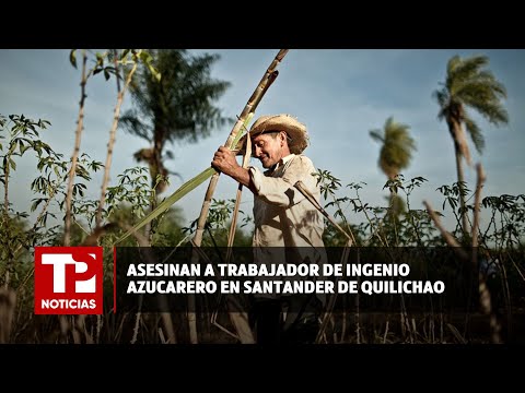 Asesinan a trabajador de ingenio azucarero en Santander de Quilichao |26.04.2024| TP Noticias