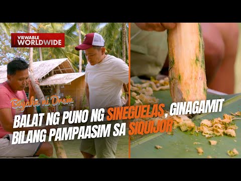 Balat ng puno ng sineguelas, ginagamit bilang pampaasim sa Siquijor Biyahe ni Drew