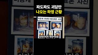 파도파도 괴담만 나오는 하영 근황